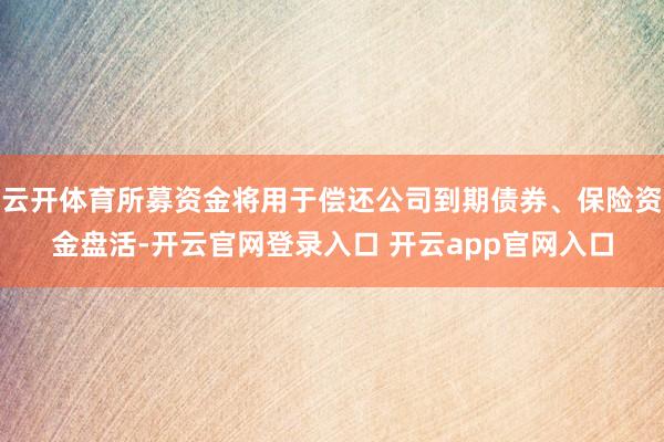 云开体育所募资金将用于偿还公司到期债券、保险资金盘活-开云官网登录入口 开云app官网入口