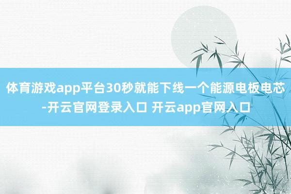 体育游戏app平台30秒就能下线一个能源电板电芯-开云官网登录入口 开云app官网入口