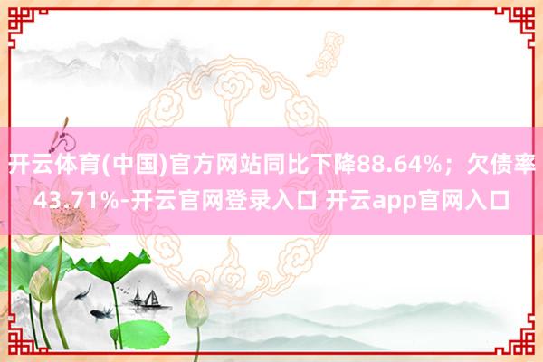 开云体育(中国)官方网站同比下降88.64%；欠债率43.71%-开云官网登录入口 开云app官网入口