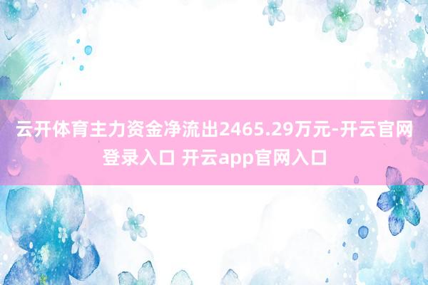 云开体育主力资金净流出2465.29万元-开云官网登录入口 开云app官网入口